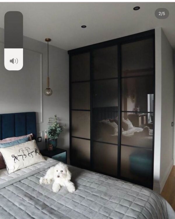 Tủ Áo Cánh Kính Lùa 2 Cánh 